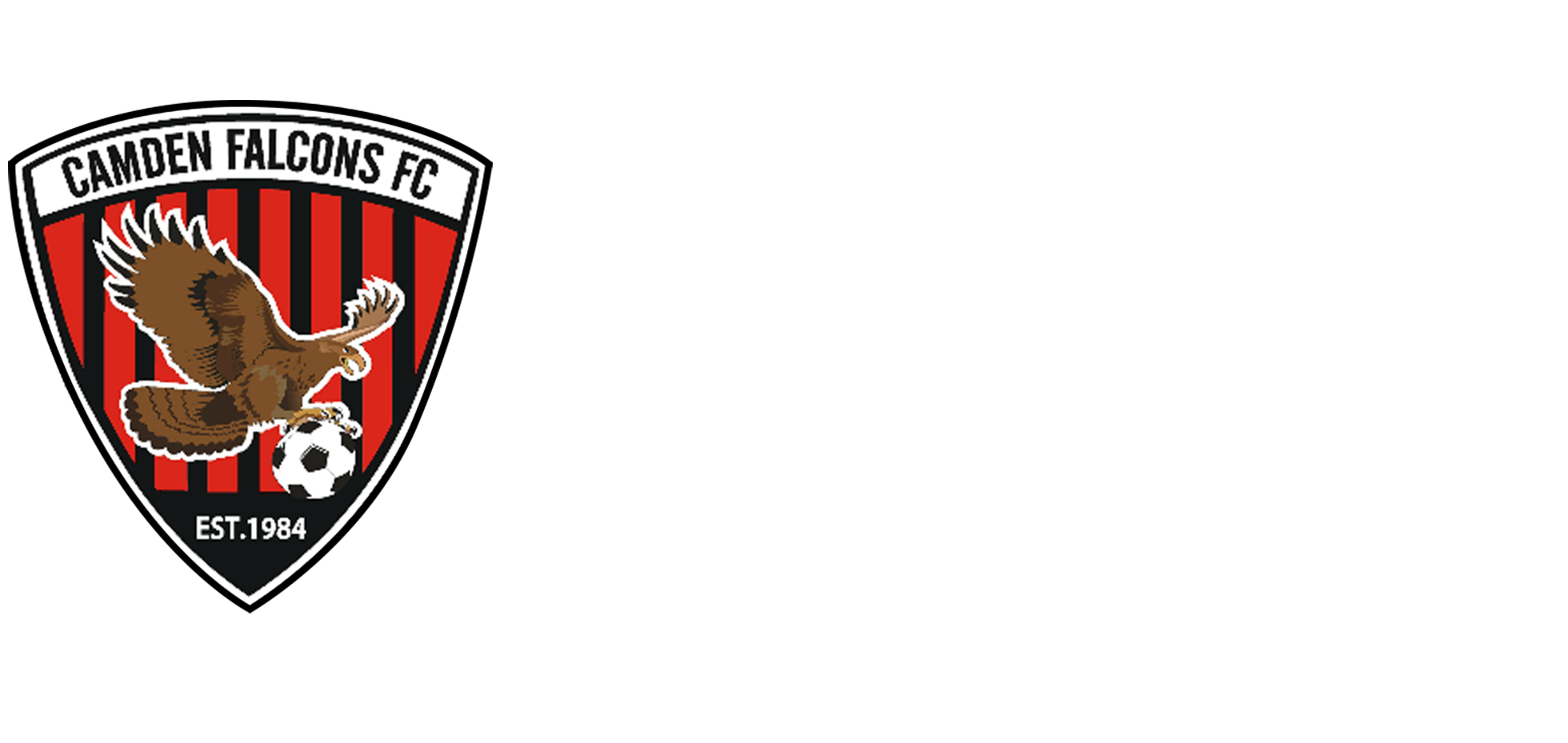 Field Status - Camden Falcons